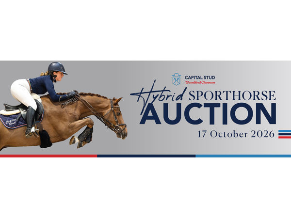 Capital Stud Hybrid Auction 2026